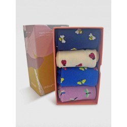 Pack Box gift 4 organic cotton socks Insect